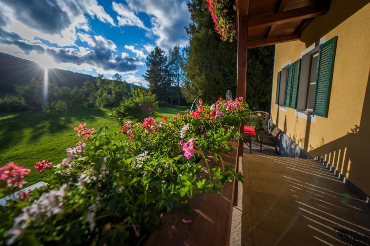 Biberhof Villa Radstadt Ngoại thất bức ảnh